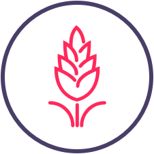 Agriculture